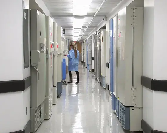 Hospital corridor with staff.